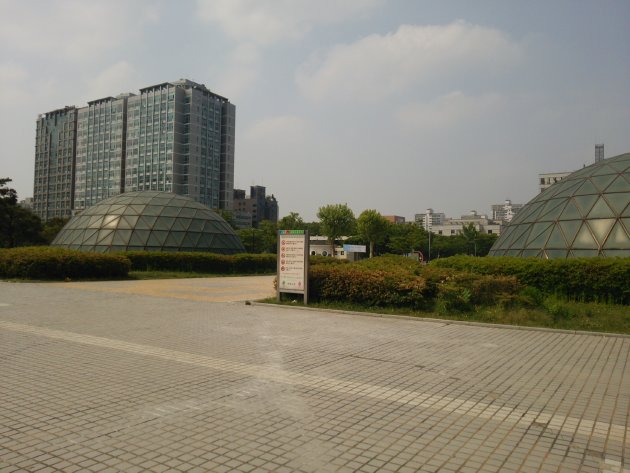 中央公園内の風景